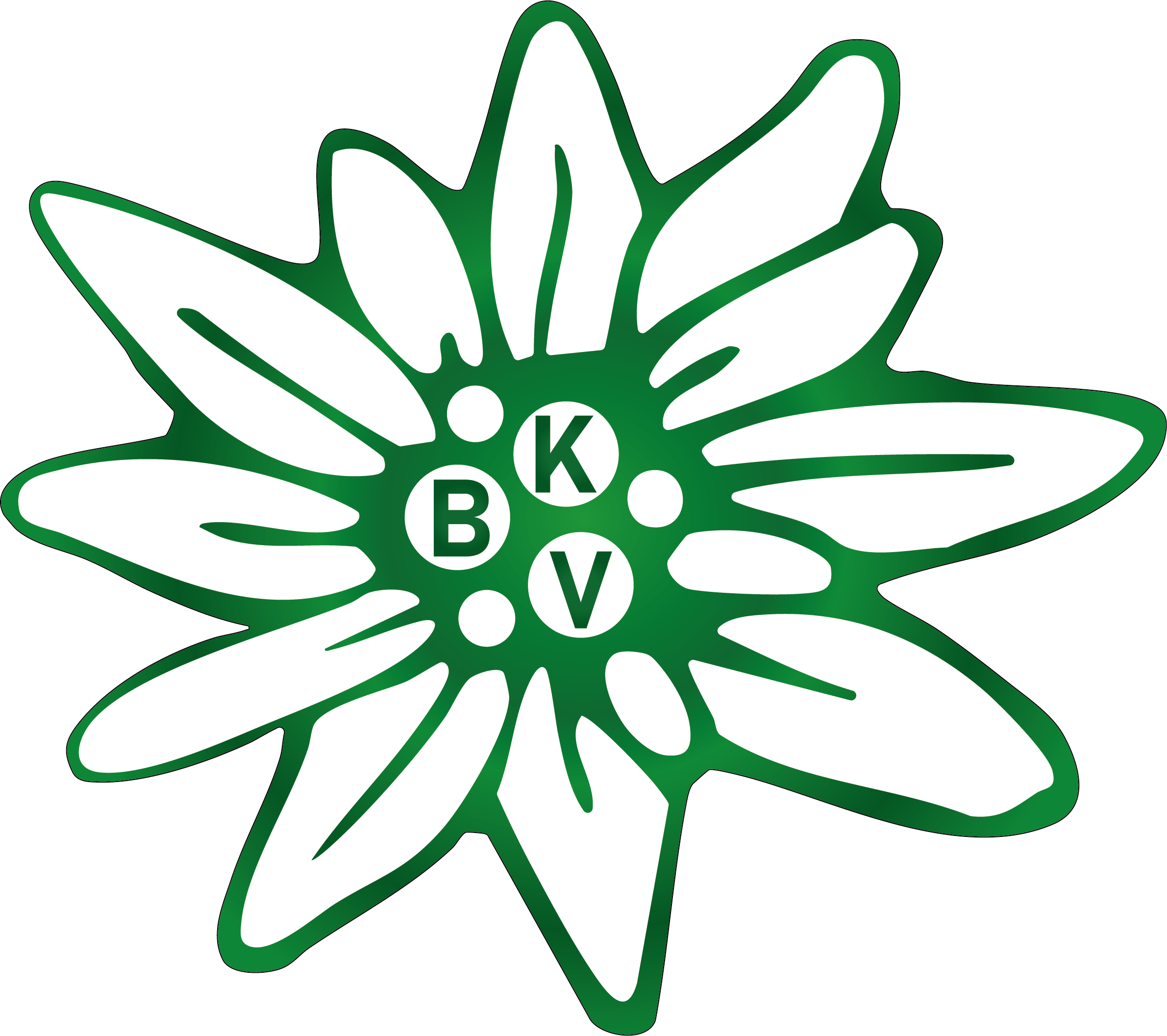 KBV Schwaig Logo
